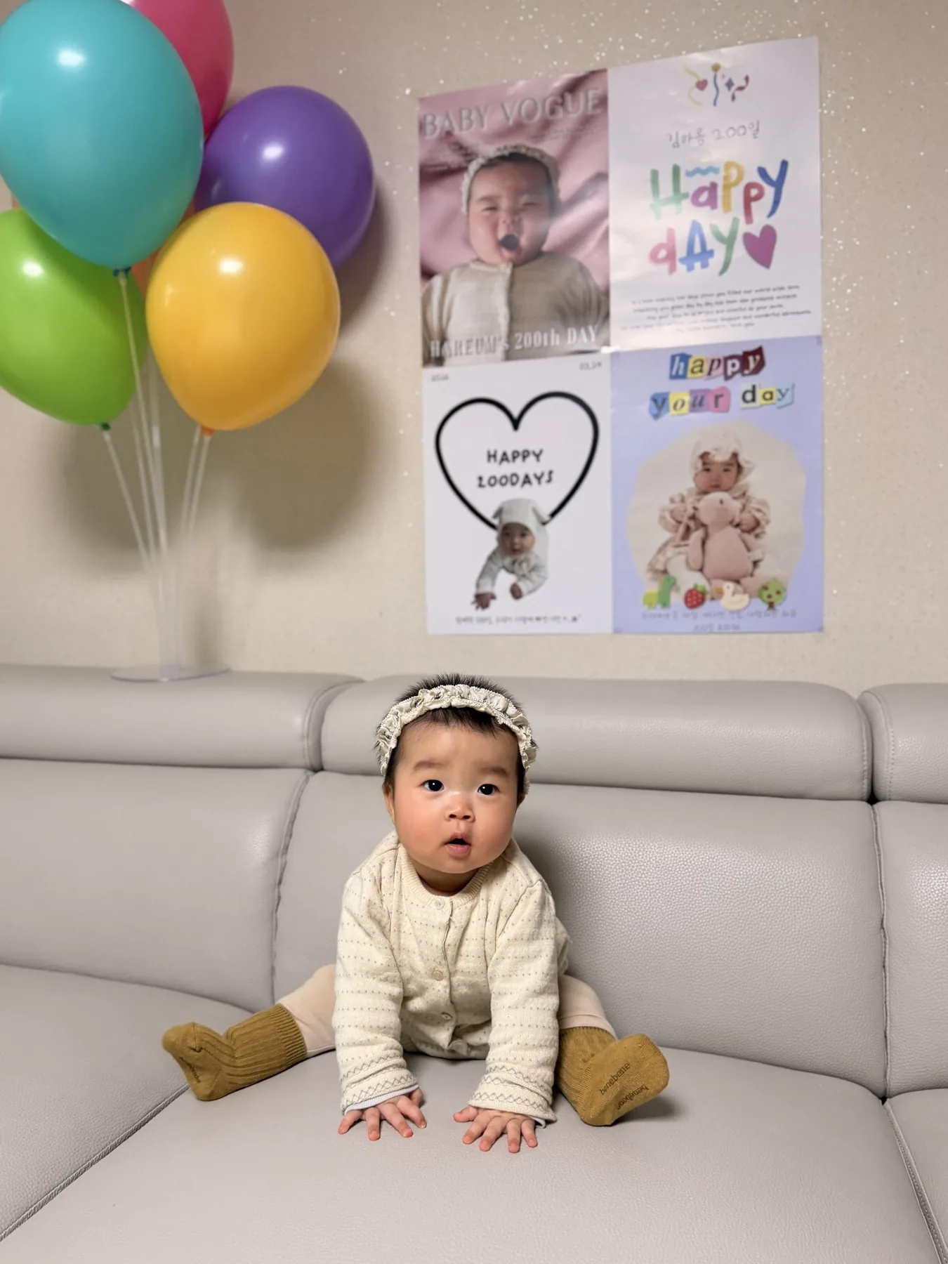 200일 기념 풍선과 사진 앞에 앉은 하름이